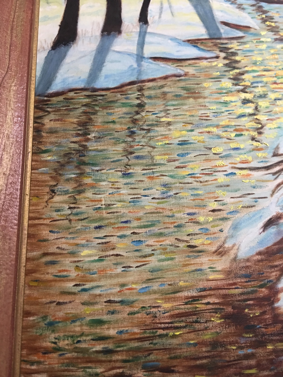 Picture 6 of 12