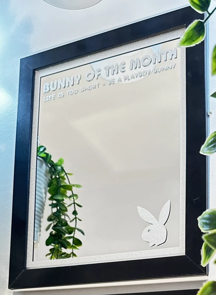 Playboy Mirror Pink Color, 10x12 Wood Framed Glass Mirror - Image 4 of 4