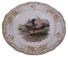 Antique Jugendstil KPM Berlin Porcelain Pigeon Bird Scene Plate Porzellan Teller