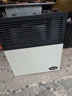 Ashley Hearth Products 11,000 BTU Direct Vent Liquid Propane Wall Mount Heater