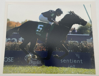 2011 Breeders  Cup Juvenile Turf Wrote & Ryan Moore 8x10 Photo