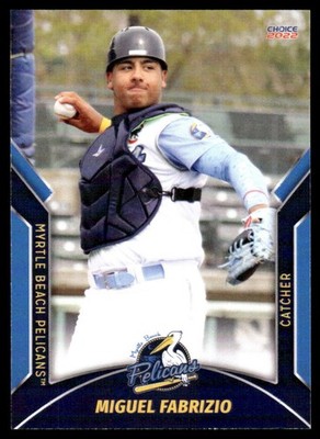 2022 Miguel Fabrizio Choice Minor League Rookie Cubs Myrtle Beach Pelicans
