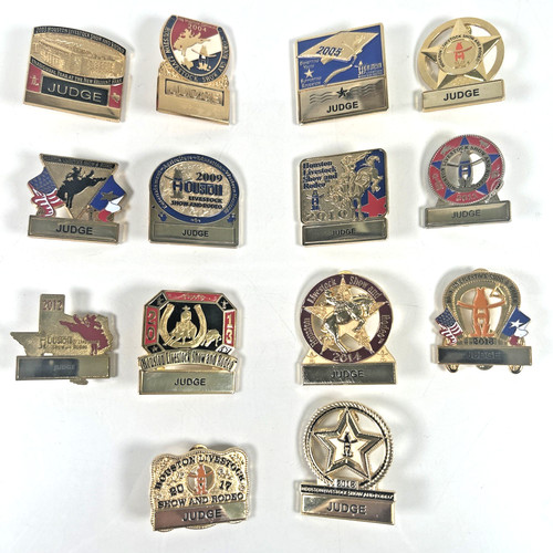 Houston Livestock Show & Rodeo Judge pins lot of (14) 2003-2018 missing 07 & 15