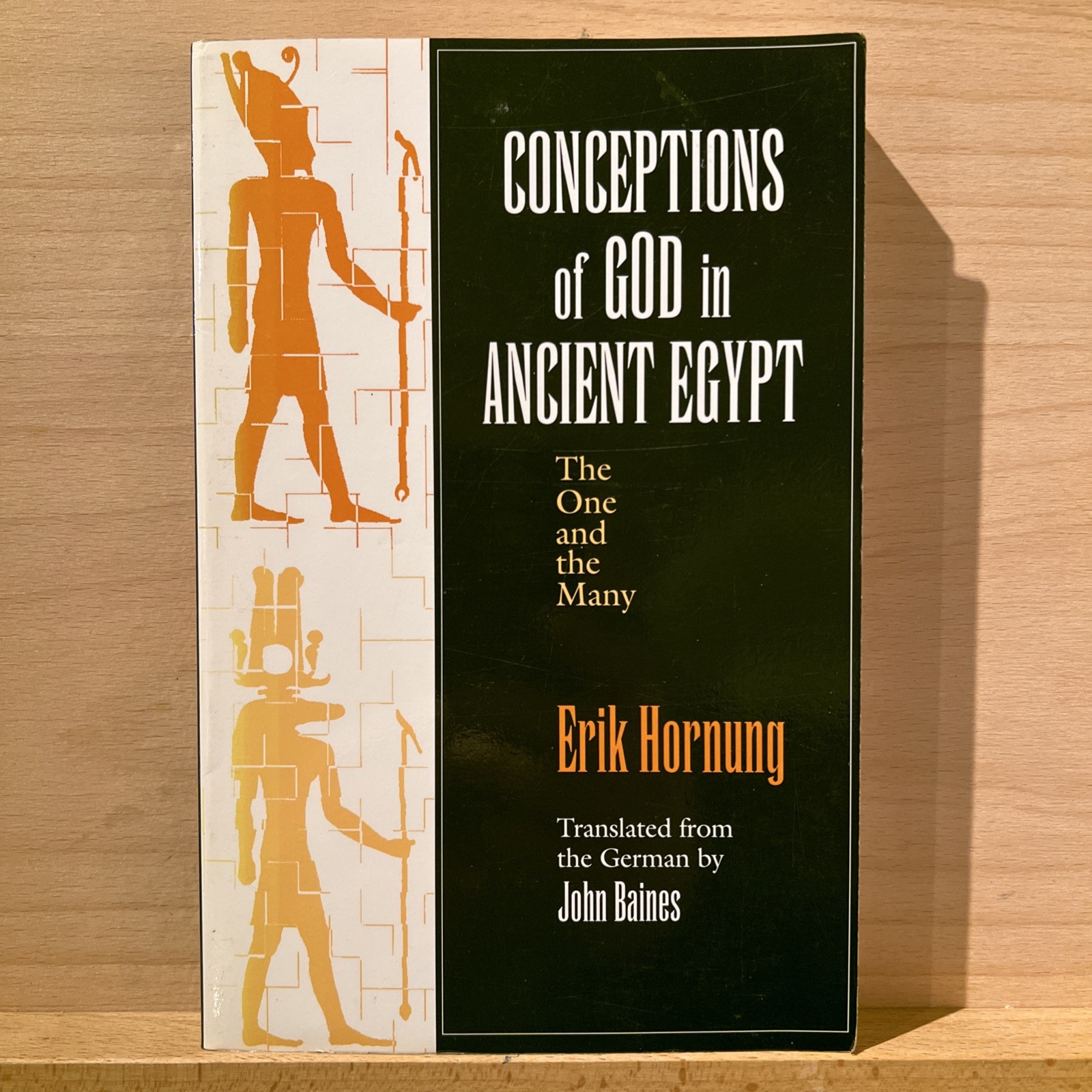 Conceptions of God in Ancient Egypt : The One and the Many by Erik Hornung