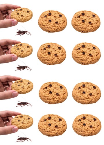 Cookie Surprise Soft Plastic Prank Toy with Cockroach Great for Gags - Picture 11 of 11