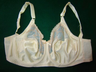 Vintage BALI SATIN EMBROIDERY FLORAL LACE SHEER SILKY FULL SUPPORT BRA 36DD 3790