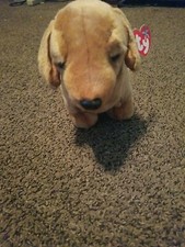 TY Beanie Buddy - WEENIE the Dachshund Dog 13 inch - NEW