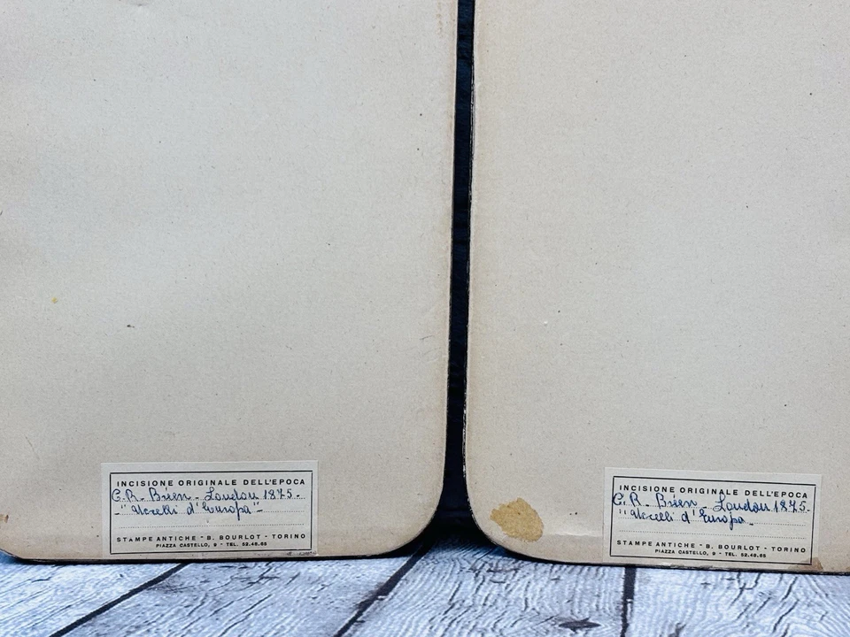 Vintage Framed Bird Prints Grosbeak & Warbler Set 10x6.25” Ornithology Art - Image 4 of 4