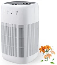 Air Purifier and Dehumidifier in 1, Air Purifier with Efficient Filter, Small De
