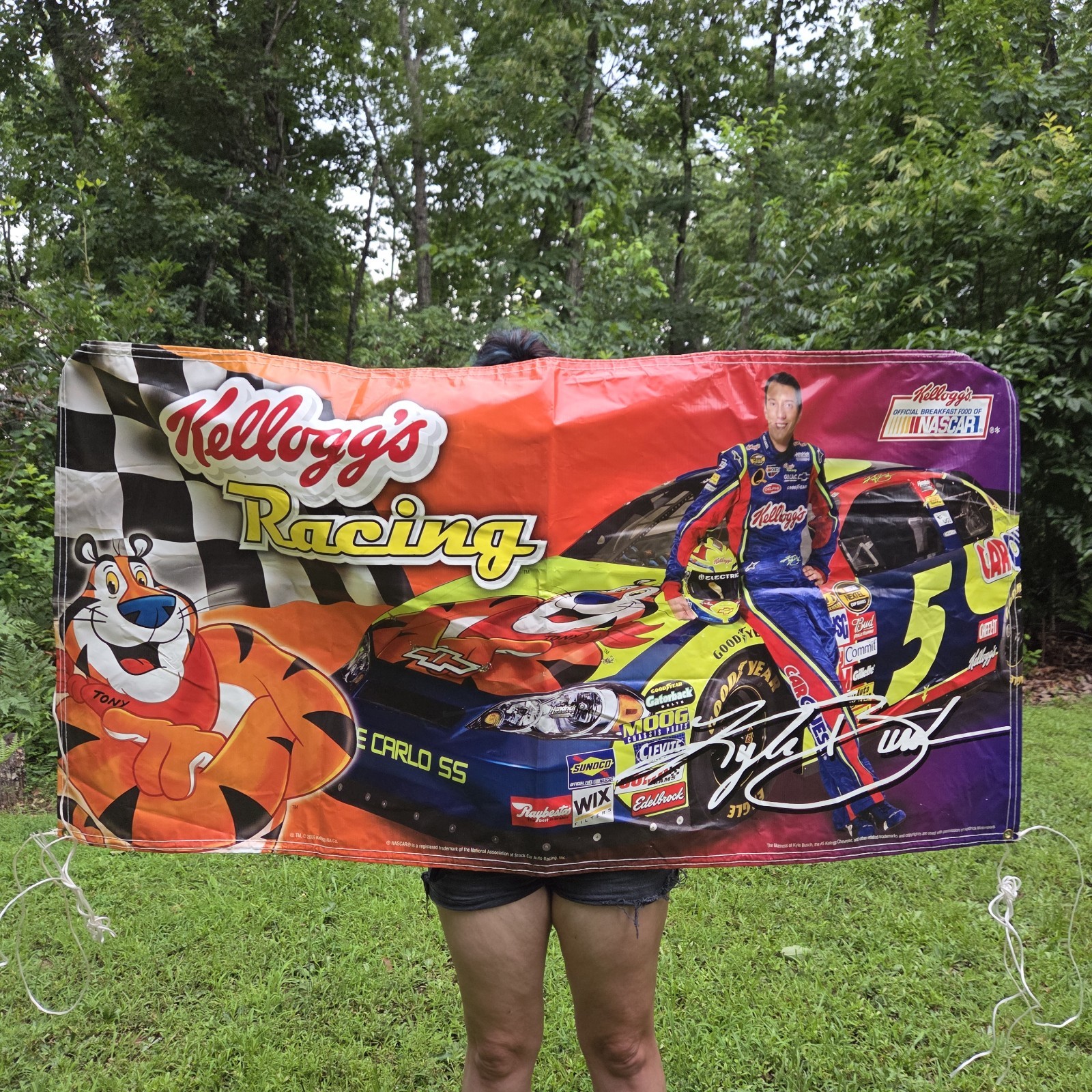 Rare Vintage 2006 Kyle Busch Wall Banner 67"x34" Kelloggs Racing Naacar 