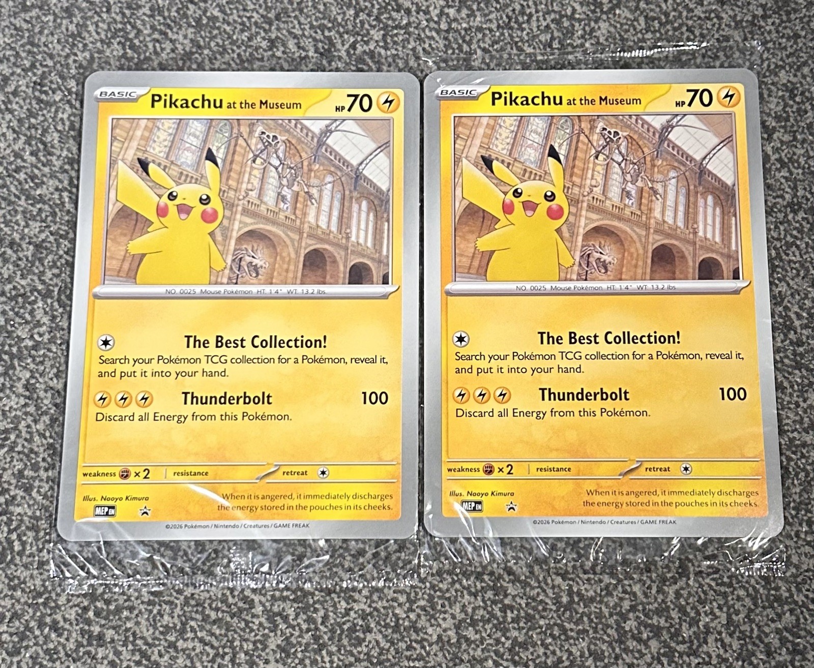 Pikachu at the Museum Jumbo Cards Regular x2