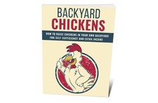 Backyard Chickens  Buy this get another free 