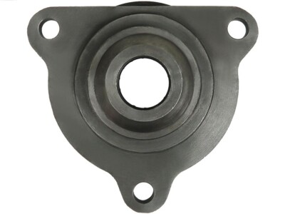 AS-PL SBR0003 Starterdeckel, Vergaser
