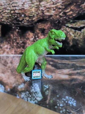 Wie und warum ''Das Zeitalter der Dinosaurier und prähistorischen Tiere'' Audio Tonies für Box