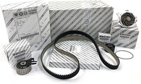 Original Kit Verteilung Wasserpumpe FüR Alfa Romeo 145 147 156 1.9 JTD Jtdm