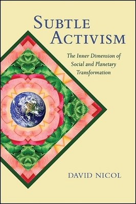 Subtle Activism: The Inner Dimension of Social and Planetary Transformation ...