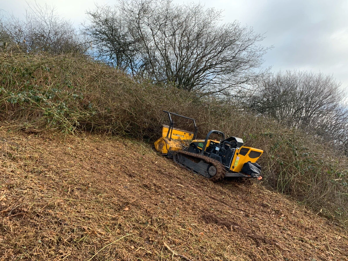 Mcconnel online hedge cutter