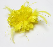 Flower Feather Bead Corsage Hair Clips Fascinator Hairband and Pin