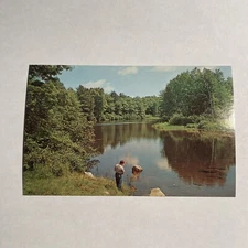 Chrome Postcard Fishing Along A Quiet River White Mountains New Hampshire NH