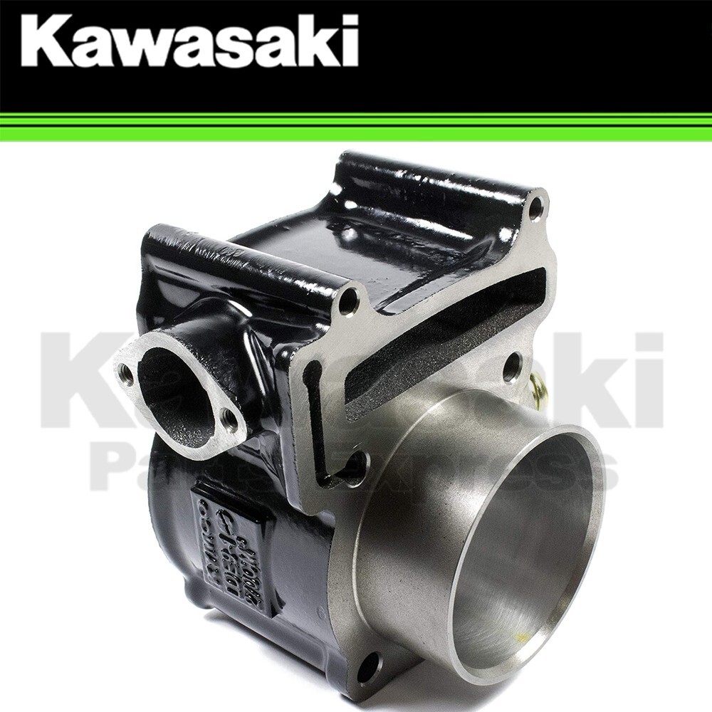 Pioneer -8900アンプ NEW 2012 - 2025 GENUINE KAWASAKI BRUTE FORCE 300 ENGINE CYLINDER
