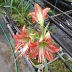 Bild 3 von 4