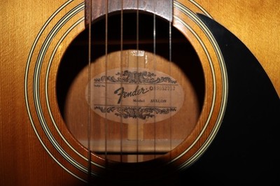 Fender Avalon Natural Vintage Acoustic Guitar-With Hard Case as