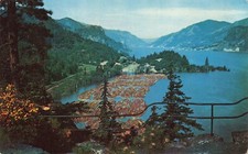 Postcard OR Columbia River Gorge Lumber Canyon Washington Border Tree Products