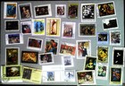 Bild 7 von 11