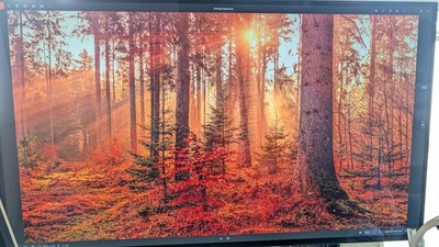 ASUS ROG Strix OLED XG32UCWMG 4K 2160p 32 Inch Monitor 240 Hz and 480 Hz Refresh