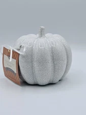 Wellesley Manor Ceramic Pumpkin Citrus Scent Harvest White Fall Home Decor