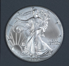 2023 Silver American Eagle $1 - BU - Brilliant Uncirculated - In Capsule