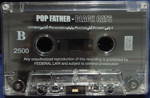 The Popfather - Black Cats 2003 US Caltex Records 2500 Clear Shell ☆Iranian Pop☆ - Picture 5 of 6