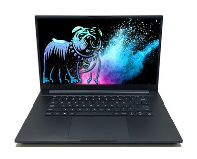 Intel NUC X15 15,6'' Notebook FullHD 144Hz i7-12700H 16GB DDR5 500GB Arc A730M IR