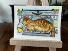 Tabby Cat on Desk. ACEO watercolor painting. Cat. Tabby. Kelly.Ospina. — photo 3