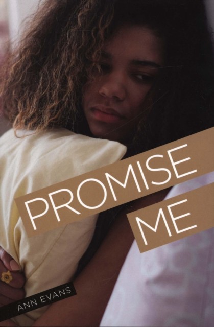 Promise Me by Ann Evans (Paperback Book)