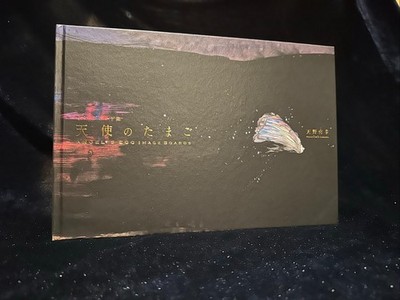 Yoshitaka Amano Angel's Egg Tenshi no Tamago Image Board Collection Art Book