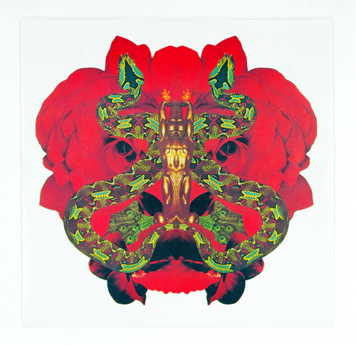 Santana Vinyl Festival 1976 - Picture 5 of 6