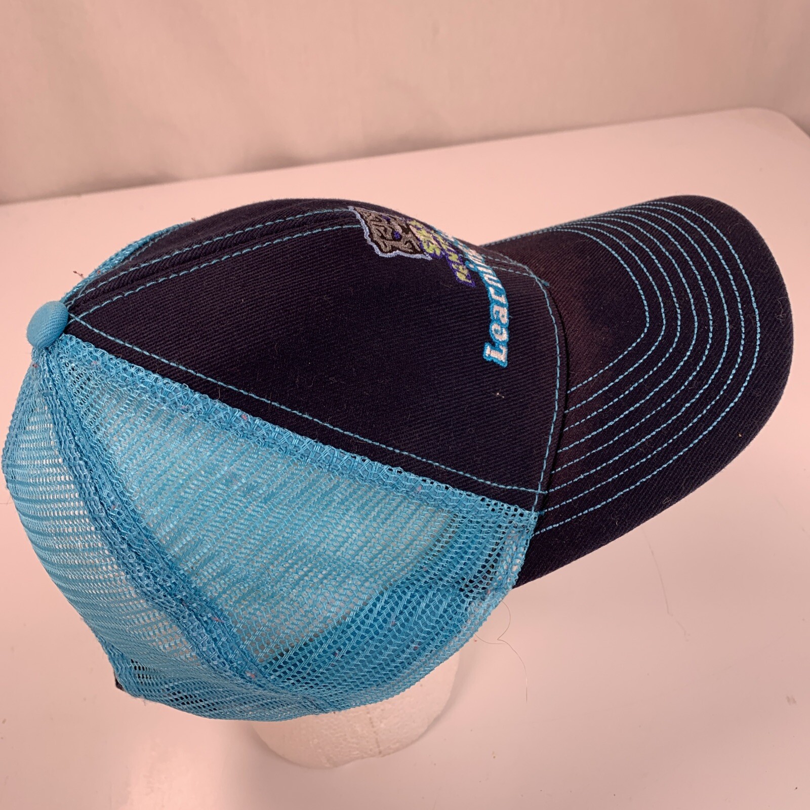 Panthers Learning Squad Ball Cap Baseball Hat - image 4