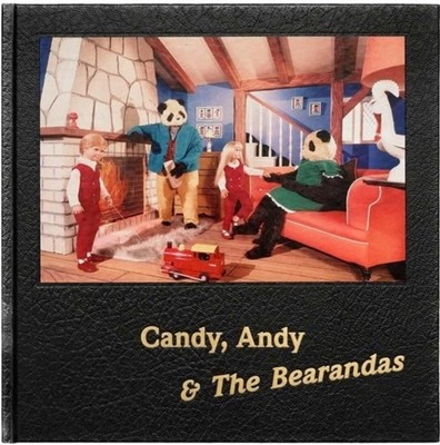 CANDY ANDY THE BEARANDAS by Alan Dein Hardback Self Help Business