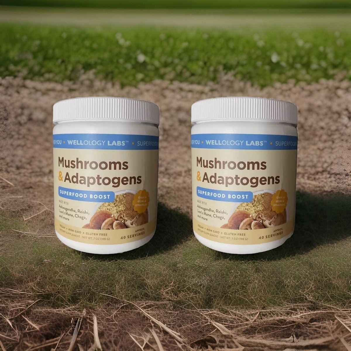 2 X New Wellology Labs Brain Focus Mushrooms and Adaptogens