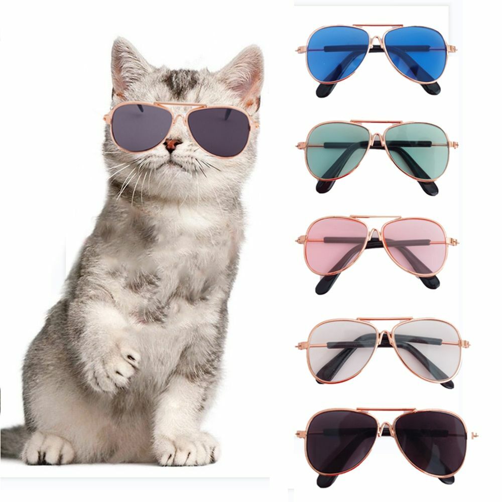Occhiali da sole per cani antiriflesso occhiali da volo piccoli gatti cane animali domestici accessori