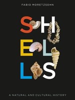 Fabio Moretzsohn | Shells | Buch | Englisch (2023) | Einband - Fest (Hardcover)