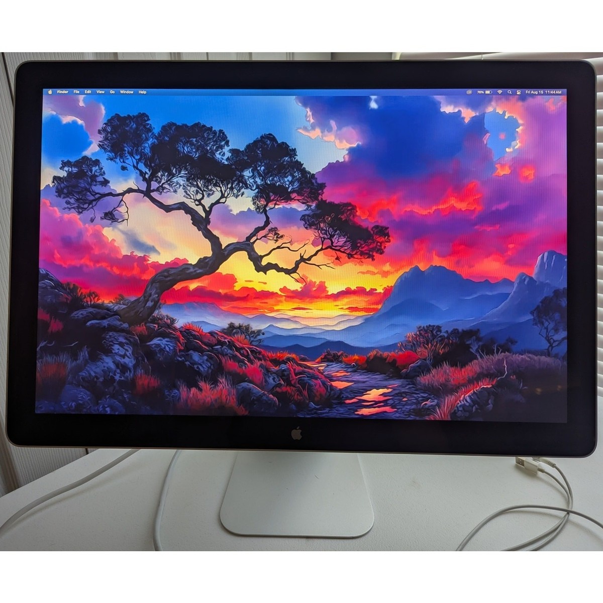 Tested & Working Apple Cinema Display 24