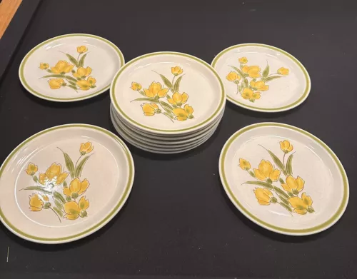 Stonybrook Stoneware Japan 70s Spring Collection 11 VINTAGE Dinner Plates 10.5"