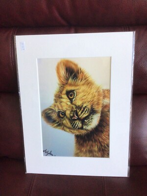 Giclée Löwenjunges A4 Aufgezogener Druck. Aus Original Bleistiftzeichnung