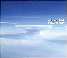 Baby Monkey von Voodoo Child | CD | Zustand sehr gut