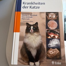 Krankheiten der Katze