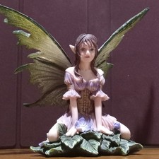  Amy Brown 9593 Wild Violet with Box