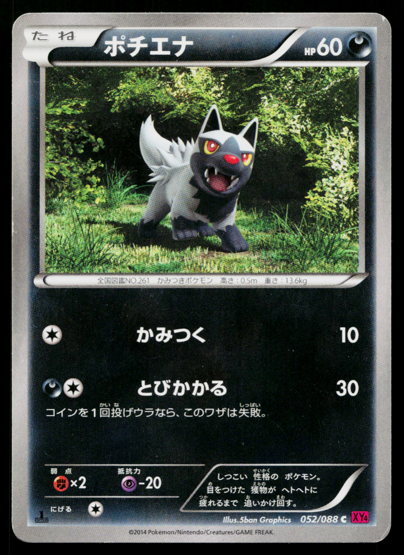 POOCHYENA 052/088 PHANTOM GATE JAPANESE POKEMON TCG