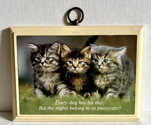 Vintage Hallmark Plaque Cat Kitten Pussycat Kitty Motto Wall Art